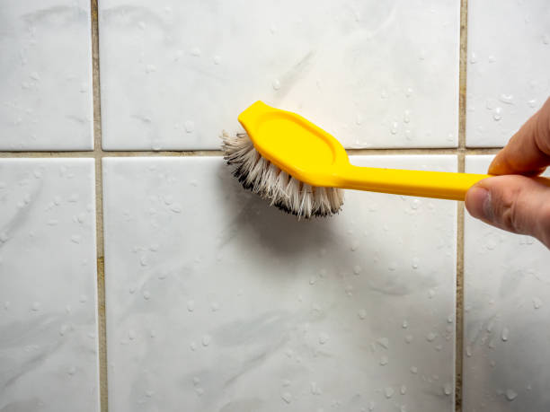 Best Mold Remediation Experts  in Panama City, FL