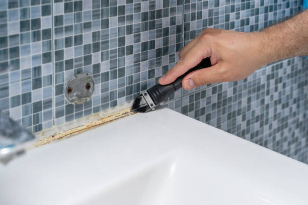 Best Mold Testing  in Panama City, FL