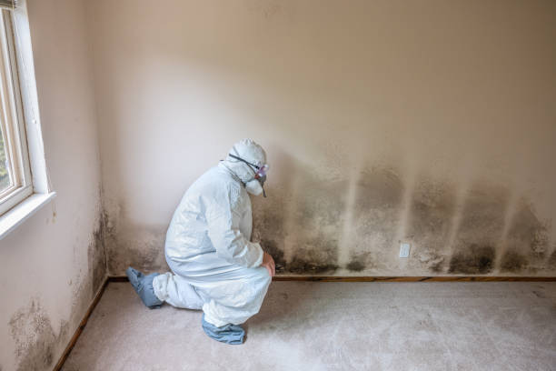 Best Crawl Space Mold Removal  in Panama City, FL